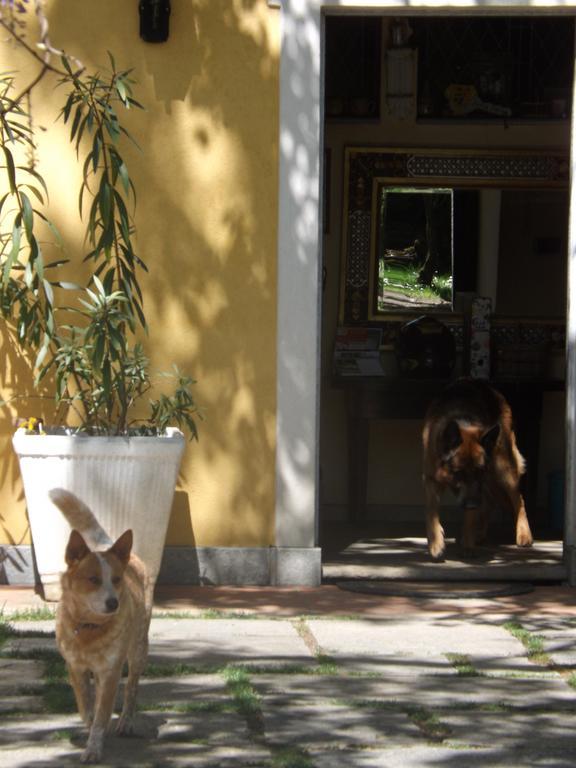 Villa Mirano Bed & Breakfast Piossasco Bagian luar foto